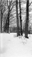 Winter Scene 