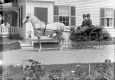 Horse and Carriage