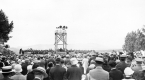 Crowd of People
