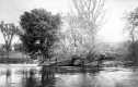 Serene Pond Scene