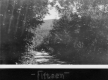 Car on a dirt road
