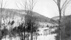 Winter Scene 
