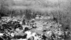 Bubbling Brook