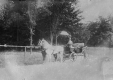 Horse and Carriage