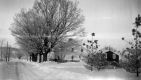 Winter Scene in Vermont