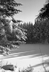 Snow Scene in Woodford