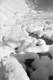 Snow Scene