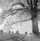 Woodford Graveyard