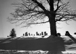 Woodford Graveyard