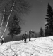 Skiers in February