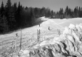 Skiing in Woodford