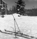 Skis and a wooden-framed house