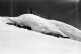 Snow covered Fencing