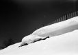 Snow covered Fencing