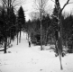 Woodford Ski Tow