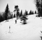 Skiing in Woodford