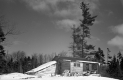 Woodford Woodcutter's Camp