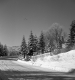Woodford Winter Roadway