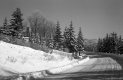 Woodford Winter Roadway