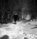 Searsburg Hiker in January