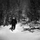 Searsburg Hiker