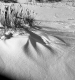 Snowy field in Searsburg