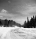 Searsburg Road Scene
