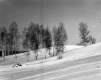 Winter Scene in Arlington