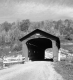 Covered Bridge in Arlington