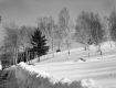 Winter Landscape