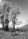 Spring in Vermont