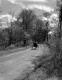 Horse and Buddy on a Back Road