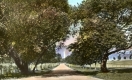 Beautiful Bennington