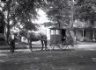 Horse and Wagon with Vender