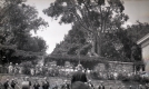 Bennington Battle Day Band