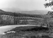 Southern Vermont Orchards