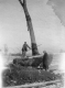 Christopher Fruitrich Moving Trees