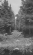 Trail