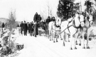 Snowy Horse and Carriage