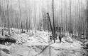Construction Site
