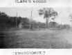Clark's Woods