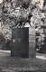 The Catamount in Bronze
