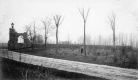 Tree Planting Along Drive