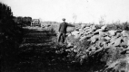 Stones Collected From Orchard for Road Building