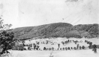 The Orchards