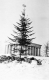 Winter Planting at Mausoleum