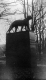 Catamount Statue
