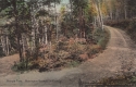 Hairpin Turn in Beautiful Bennington