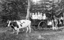 Cattle and a Wagon Full of Children