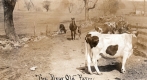 The Dear Old Farm